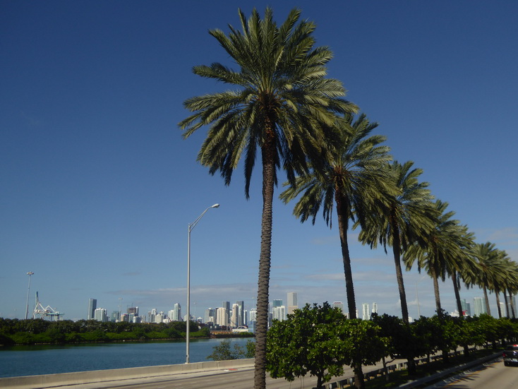 Miami Ocean Drive Art Deco Miami Ocean Drive Art Deco   