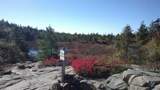 Wanderung im Acadia-Nationalpark  Cadillac Mountain NP  Hiking Trail from Otter Cove to Top