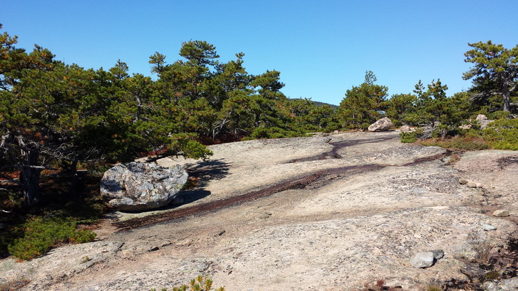   Wanderung im Acadia-Nationalpark  Cadillac Mountain NP  Hiking Trail from Otter Cove to TopWanderung im Acadia-Nationalpark  Cadillac Mountain NP  Hiking Trail from Otter Cove to Top