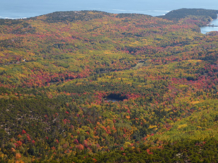 Wanderung im Acadia-Nationalpark  Cadillac Mountain NP  Hiking Trail from Otter Cove to Top