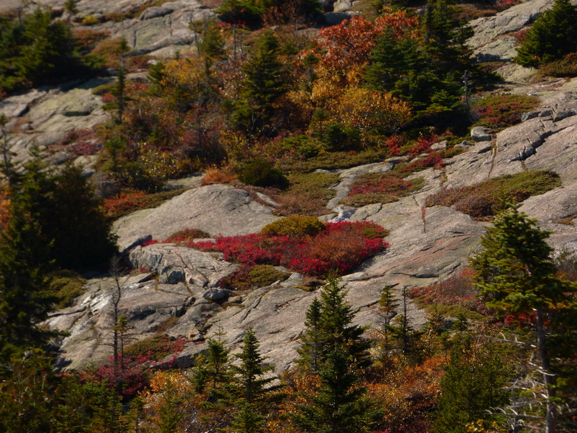  Cadillac Mountain NP  Hiking Trail from Otter Cove to Top