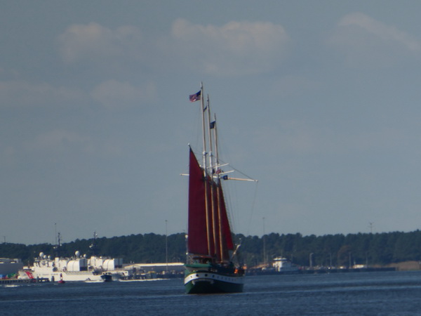 norfolk Sailormen