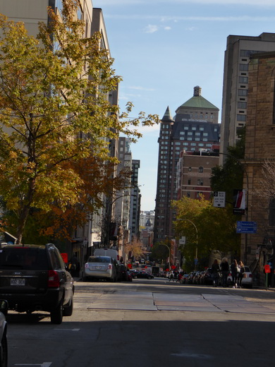 &nbsp;&nbsp;Montreal Abstieg Mont Royal Montreal Abstieg Mont Royal