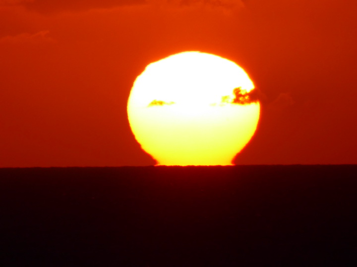 Hamilton Bermuda Bermudas  Sundowner 