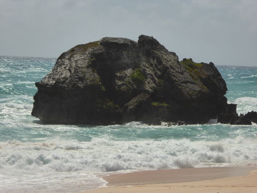 Hamilton Bermuda Beaches  Bermudas Beach Horseshoe Beach 