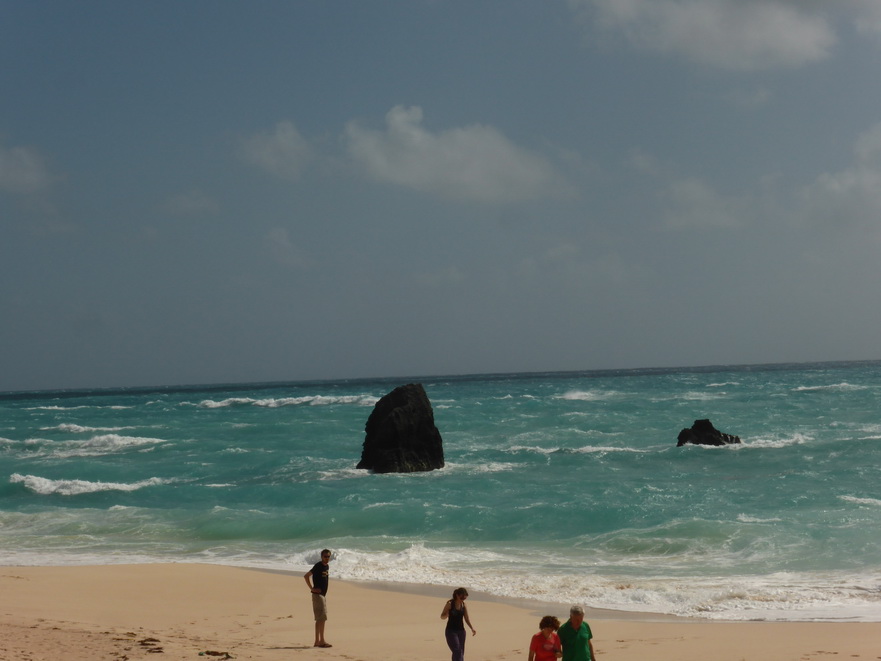 Hamilton Bermuda Beaches  Bermudas Beach Horseshoe Beach 