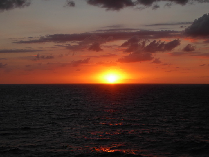 Hamilton Bermuda Bermudas  Sundowner 