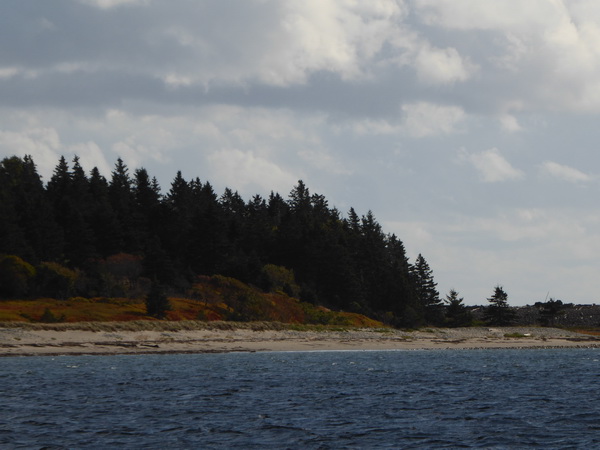 Halifax Harbour Hailfax Island Mc Nabs Peggys Cove 