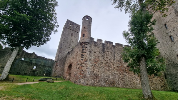 Adler- und Wolfspark Kasselburg Gerolstein