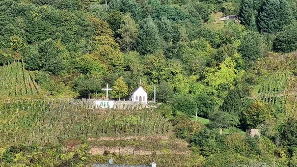  Eifel Mosel AlF nach Cochem Eifel Mosel AlF