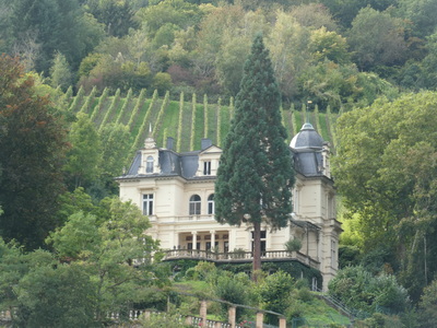 Mosel Marienburg 