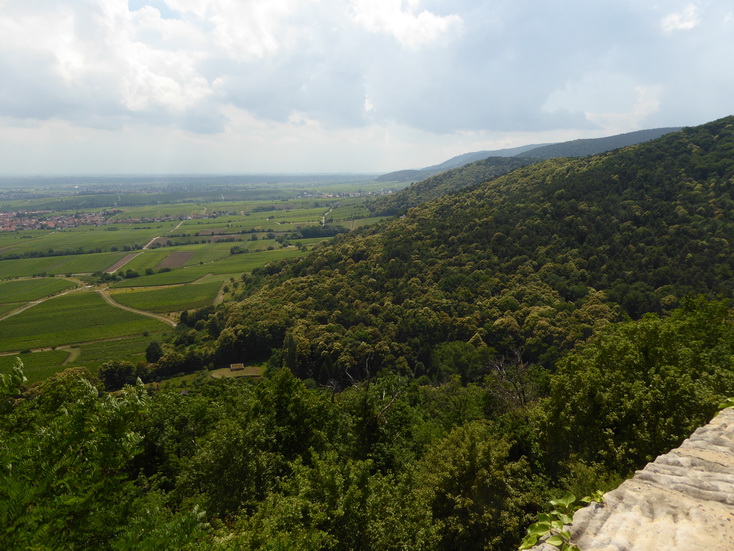 Pfalz Neustadt an der Weinstrasse  Schloss Hambach  