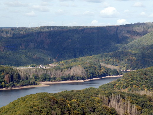 Vogelsang Eifel Urfttalsperre auf dem Berg Erpenscheid 100 ha  