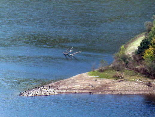 Vogelsang Eifel Urfttalsperre auf dem Berg Erpenscheid 100 ha  