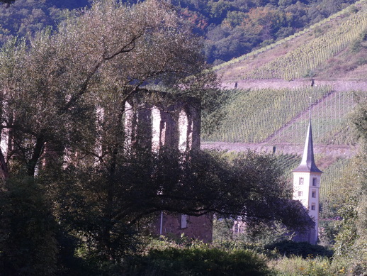 Eifel Mosel AlF nach Cochem 