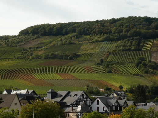 weinberg brutiger götterlay