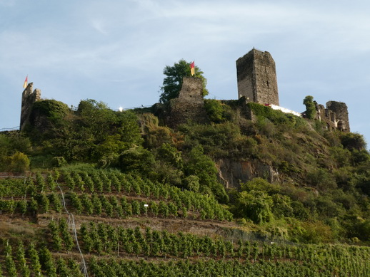 Eifel Mosel AlF nach Cochem 