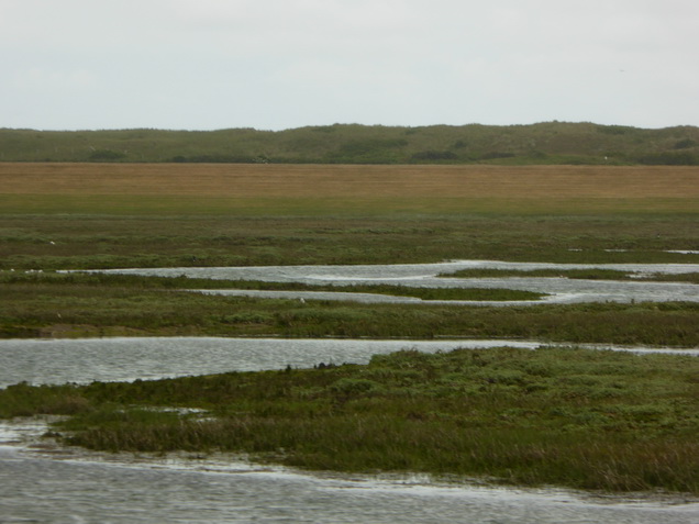  Wangerooge  wangerooge.de wangerooge Wattenmeer Inselbahn  