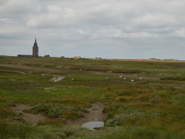 wangerooge Salinen