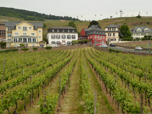 üdesheim am rhein