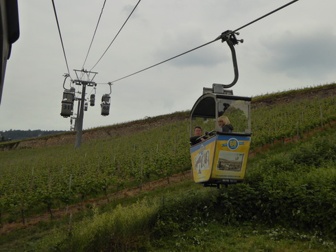 Weinberge Nierderwalddenkmal Seilbahn Assmannshausen Rüdesheim am RheinWeinberge Nierderwalddenkmal Seilbahn Assmannshausen Rüdesheim am Rhein