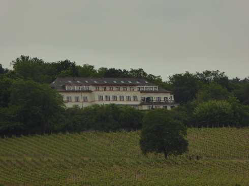 Weinberge Nierderwalddenkmal Seilbahn Assmannshausen Rdesheim am RheinWeinberge Nierderwalddenkmal Seilbahn Assmannshausen Rdesheim am Rhein