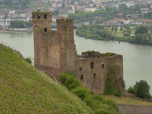 Weinberge Nierderwalddenkmal Seilbahn offene Gondel nach Assmannshausen 