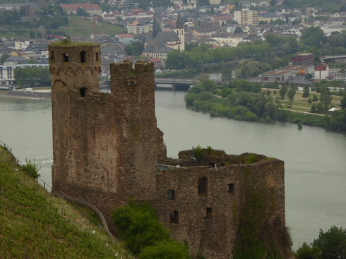 Weinberge Burg Ehrenfels 