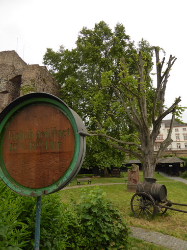   Rüdesheim am Rhein Drosselgasse Rüdesheim Drosselgasse Lindenwirt  Rüdesheim am Rhein Drosselgasse Rüdesheim Drosselgasse Lindenwirt    Hildegard von Bingen 