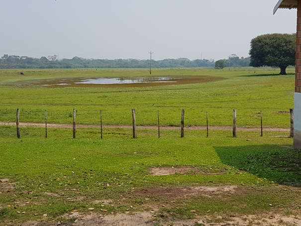 Pousada São João Ecotour   Dschungellodge Pantanal 