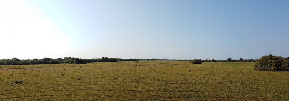 Barra Mansa Lodge pantanal