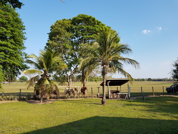 Barra Mansa Lodge Barra Mansa Lodge  