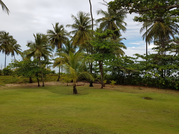 Ttivolieco resort bahia de salvador brazil 