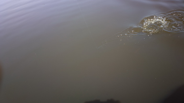   Barra Mansa Lodge   Piranha FishingBarra Mansa Lodge unrise  Piranha Fishing