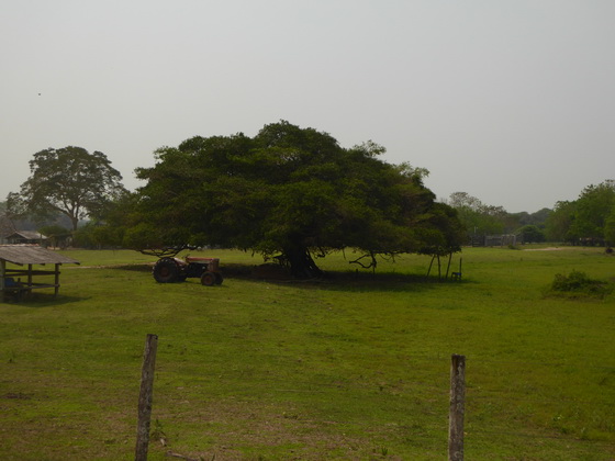 Pousada São João Ecotour   Dschungellodge Pantanal 