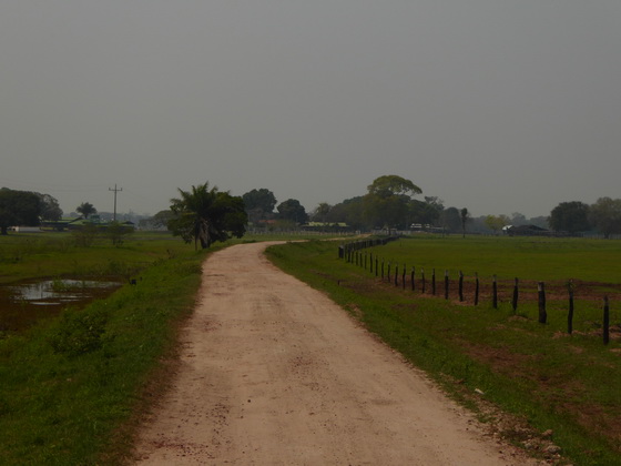 Pousada São João Ecotour   Dschungellodge Pantanal  Pousada São João Ecotour  Pousada São João Ecotour    tapirprint