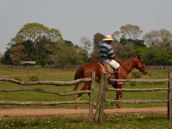 Pantanal Gaucho 