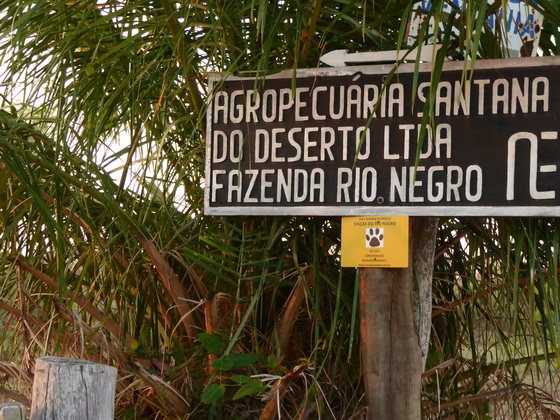 agropecuaria Santana do desierto Fazenda rio Negro