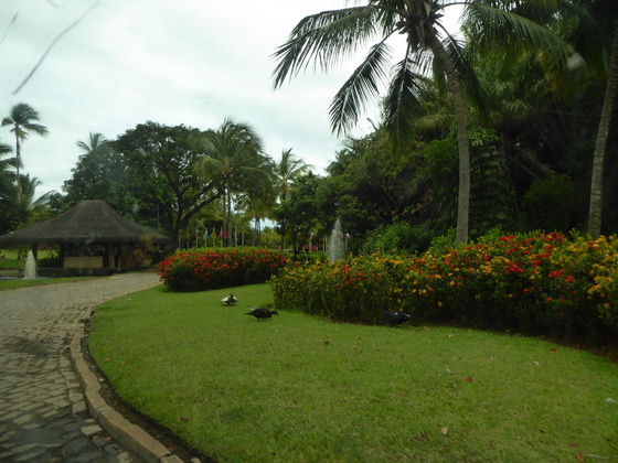 Ttivolieco resort bahia de salvador brazil