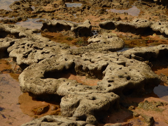 tivoli eco resort bahia de salvador brazil Praia Do Forte Fisherboat Beach stones coralreef