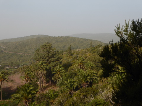 &nbsp;&nbsp;Gomera San sebastian Roque Columbus Gomera