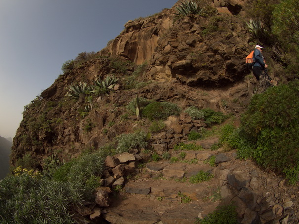 Gomera Inselwandern in den Lorbeerwaeldern 