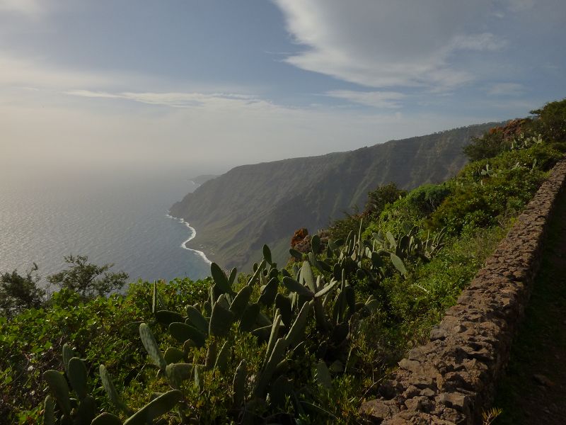 Mirador de Isora neugierige Eidechse