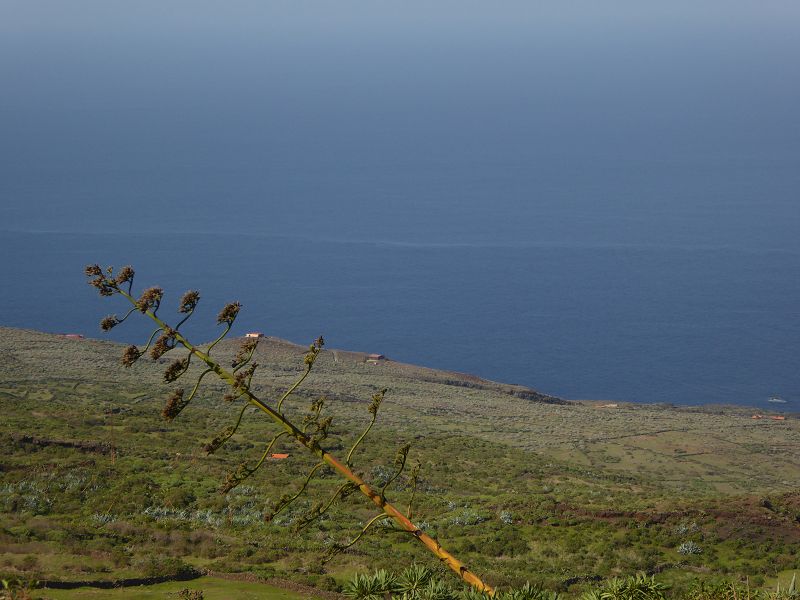 Pozo de Las Calcosas