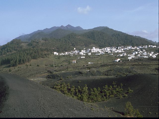 La Palma  Drachenbume El Pinar 