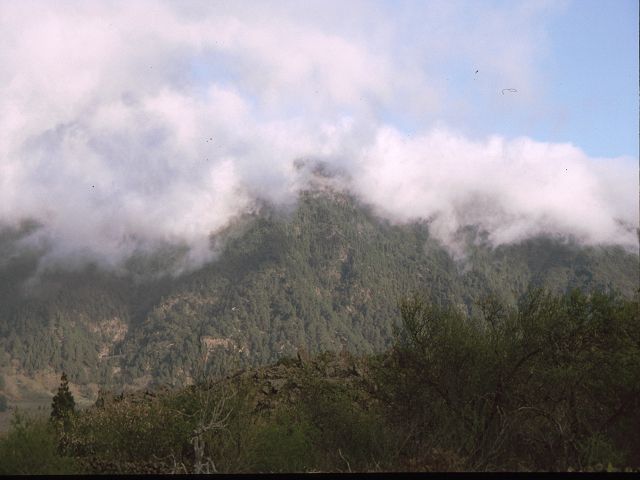 La Palma   La Palma   Vulkanwandern  Caldereia de TaburienteLa Palma  La Palma   La Palma  Vulkanwandern  Caldereia de TaburienteLa Palma bizarre Vulkanlandschaften  Vulkanwandern  Caldereia de Taburiente