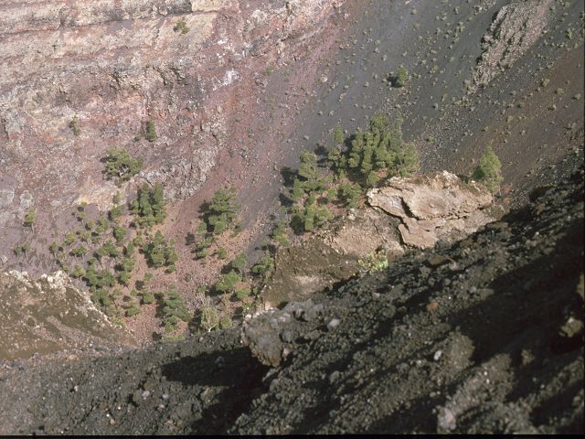 La Palma   Vulkankrater La Palma Wanderung mit der Asi 