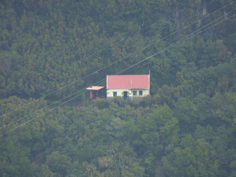 Madeira   Cabo  Madeira  Lorbeerwlder Laurasilva Lorbeerwald 