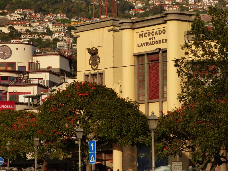   Madeira  Madeira      Funchal   Mercado der Markt die Markthallen in FunchalMadeira  Madeira      Funchal  Mercado der Markt die Markthallen in Funchal