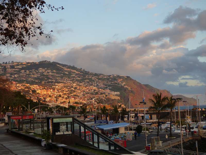 Madeira  Madeira      Funchal 